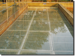 Horizontal End Flow Tank with Clarifier Screens